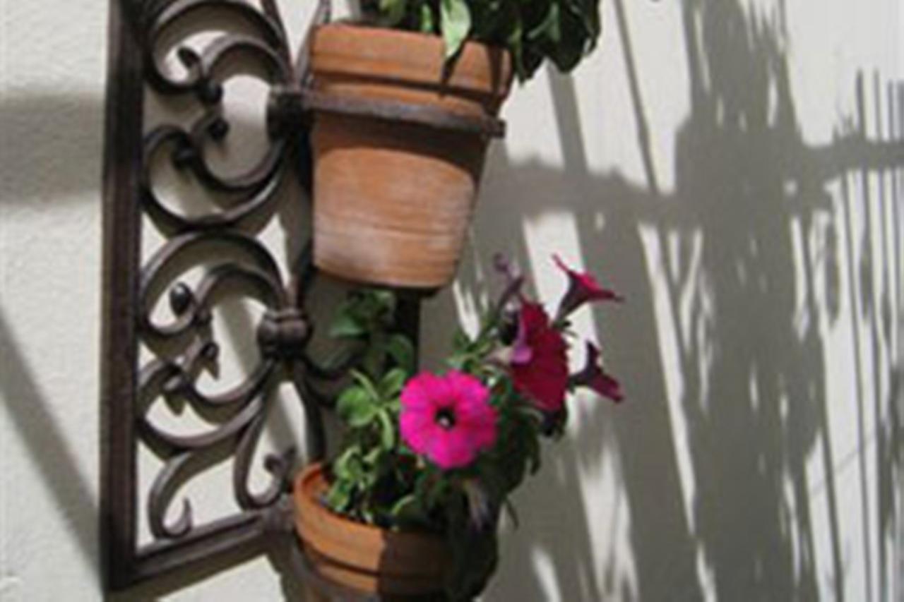 Bed and Breakfast 3 On Roux Franschhoek Esterno foto
